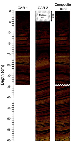 Figure 2. Optical photographs of the sediment cores retrieved from the bottom of Lac Carheil with the resulting composite core.