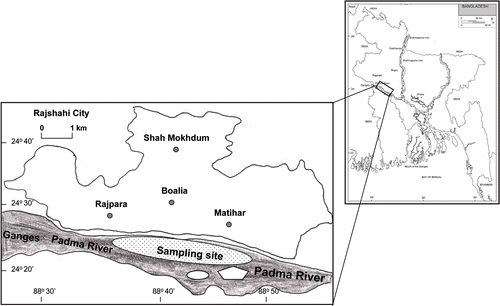 Figure 1. Sampling site of the Ganges (Padma) River, northwestern Bangladesh, where the Monsoon River prawn M. malcolmsonii (Milne-Edwards, 1844) was captured during the period from March to October 2010.