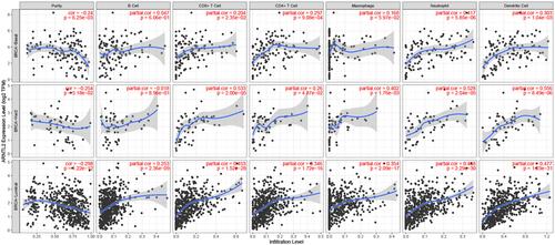 Figure 5 Correlation between ARNTL2 expression and immune cell infiltration in data from TIMER. The scatter plot showed the association between ARNTL2 expression and Purity and the immune cell infiltration of B cell, CD8+ T cell, CD4+ T cell, Microphage, Neutrophil, and Dendritic cell in different breast cancer subtypes (basal, luminal, and HER-2).