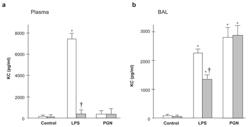 Figure 5 KC concentration in plasma and BAL fluid. (a) Plasma KC was increased after LPS challenge only in C3H/HeN mice (p < 0.01). (b) In BAL fluid, LPS-induced increase in KC was attenuated by the absence of TLR4 (p < 0.05), whereas PGN-induced upregulation of KC did not differ between the strains.Notes: Open columns, C3H/HeN mice; Gray columns, C3H/HeJ mice; Data are presented as the mean ± SEM (n = 6); *p < 0.05 versus control. †p<0.05 versus C3H/HeN mice.Abbreviations: BAL, bronchoalveolar lavage; LPS, lipopolysaccharide; PGN, peptidoglycan; SEM, standard error of mean; TLR4, Toll-like receptor 4.