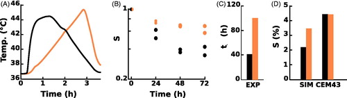 Figure 4. Temporal dose asymmetry effect of the survival response. (A) Temperature time profile experiment by cell colony in the case of 196 CEM43 fast–slow (black line) or 200 CEM43 slow–fast (orange line) protocol. (B) Relative number of attached viable cells in the colony during the recovery at 37°C after a slow–fast (black dots) or a fast–slow (blue dots) thermal protocol. Cells were exposed to hyperthermia from 0 h to 3 h. (C) Cell colony growth rate normalized to the control experiment at cell culture conditions obtained in the experiment (Exp). (D) Survival fraction predicted by the dynamical model (SIM), or predicted by the CEM43 description (CEM43). In C and D, black bars correspond to the fast–slow protocol and orange bars correspond to the slow–fast protocol.