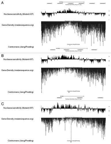 Figure 1. Chromatin accessibility (nuclease sensitivity) in mop1-1 and WT immature ears on three representative chromosomes. We measured the signal ratio (log2 [HMW MNase-resistant DNA/MNase-sensitive DNA]) for WT and mutant samples at each probe, then calculated the deviation of the mutant response from WT (Mutant – WT). This deviation was plotted on a genome-browser (genomaize.org) for chromosome 1 (A), chromosome 3 (B) and chromosome 9 (C). WT and mutant are the same at zero. Each plot represents the average of 3 biological replicates with smoothing at 5 pixels. The gene density plot (maizesequence.org) and relative position of the centromere (Jiang/Presting) are also illustrated for each chromosome. All ten chromosomes are included in Figures S1 and S2.