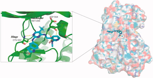 Figure 2. Three-dimensional space matching diagram and detailed interactions of PF-562271 in the ATP-binding site of FAK (PDB ID: 3BZ3). The interactions are illustrated with yellow dashed lines.