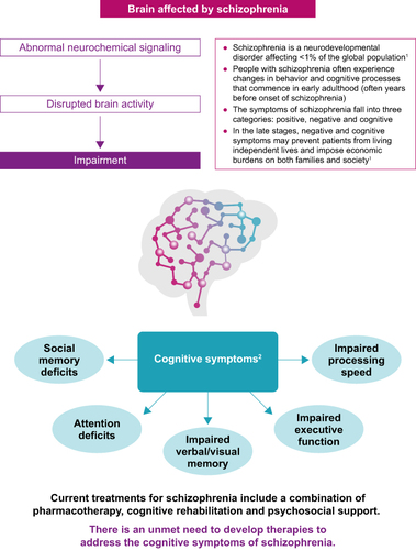 Figure 1 Cognitive impairments associated with schizophrenia.