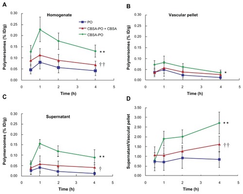 Figure 6 Polymersome concentrations (% ID/g) versus time curves in the rat brain fractions after intravenous injection of 10 mg/kg of PO, CBSA-PO, and CBSA-PO plus 10 mg/kg of free CBSA. Data are presented as the mean ± standard deviation of n = 4 rats/point. (A) Whole homogenate, (B) vascular pellet, (C) supernatant, and (D) ratio of polymersomes concentrations in the supernatant to those in the vascular pellet.Notes: Statistically significant differences by Student’s t-test when compared with the corresponding value of control: *P < 0.05; **P < 0.01 versus PO; †P < 0.05; ††P < 0.01 versus CBSA-PO.Abbreviations: PO, polymersomes; CBSA, cationic bovine serum albumin.