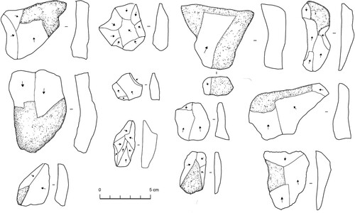 Figure 1. Selected non-Levallois flakes from TH.69 to show character of preparatory debitage.