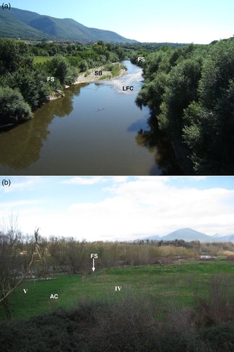 Figure 3. (a) Sub-vertical FS, covered by arboreal riparian vegetation, that border the active channel of the Calore River. A gravelly side-bar (SB) and the low-flow channel (LFC) are also clearly visible; (b) boundary between remnants of river terraces of the IV order (to the right) and V order (to the left). The boundary is marked by a weathered and reshaped FS, approximately 1 m-high, and by an AC.