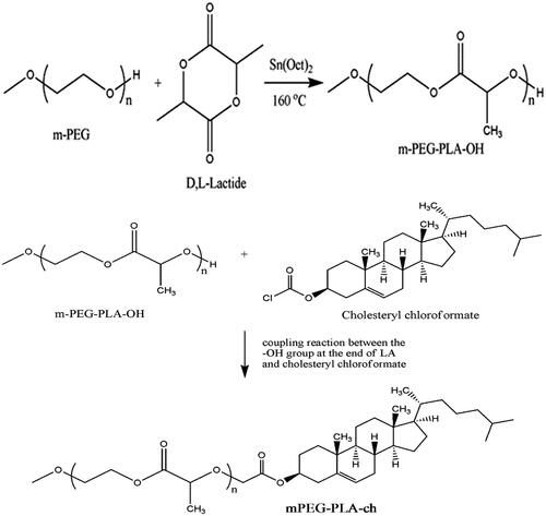 Scheme 1. Detailed synthetic route of mPEG–PLA-Ch copolymers.