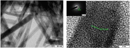 Figure 4 TEM (left) and HR-TEM (right) micrographs with SAED patterns (inset) of as-prepared MnO2 NPs.