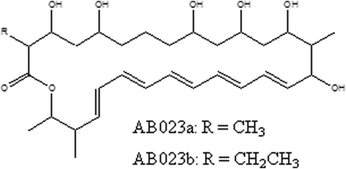 Fig. 3 Chemical structure of a pentaene macrolide complex AB023; AB023a & AB023b (Bortolo et al. Citation1993).
