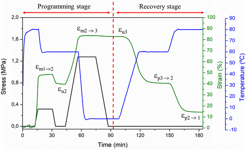 Figure 12. Schematic representation of a triple-shape thermo-mechanical cycle.