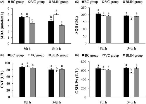 Figure 4. The influence of BLIN on the oxidative stress. A, MDA; B, CAT; C, SOD; D, GSH-Px.Bars with different letters (a–c) at the same time are different significantly (p < 0.05).