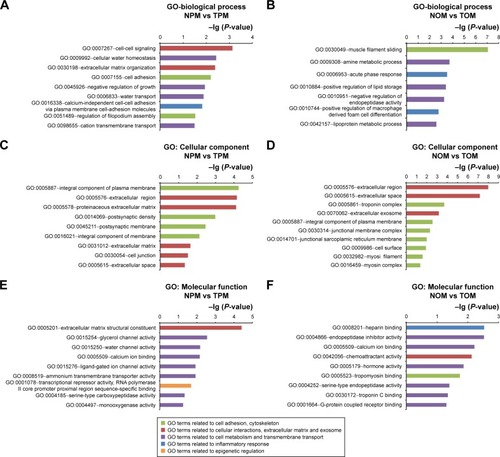 Figure 4 Gene Ontology (GO) analyses.Notes: (A) GO biological process analysis of NPM vs TPM; (B) GO biological process analysis of NOM vs TOM; (C) GO cellular component analysis of NPM vs TPM; (D) GO cellular component analysis of NOM vs TOM; (E) GO molecular function analysis of NPM vs TPM; and (F) GO molecular function analysis of NOM vs TOM.Abbreviations: NOM, TiO2 nanotubes with osteoinduction medium; NPM, TiO2 nanotubes with proliferation medium; TOM, titanium with osteoinduction medium; TPM, titanium with proliferation medium.