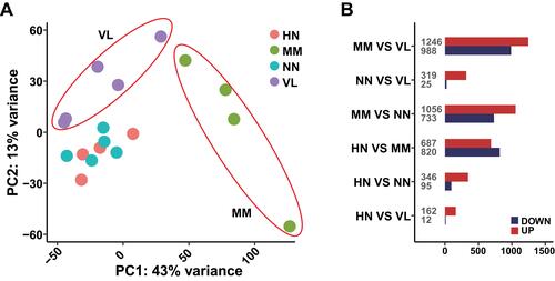 Figure 2 Gene expression levels of all samples. (A) Principal component analysis (PCA) of gene expression profiles in samples of four diseases. (B) The number of DEGs of different comparative groups.