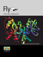 Cover image for Fly, Volume 3, Issue 2, 2009