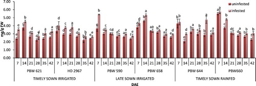 Figure 2. Change in proline content in uninfested and infested developing flag leaves of wheat genotypes at different growth stages. Error bars denote ±SD of three replicates, bars with same letter(s) at particular day are not significantly different at P ≤ .05 (CD at 5% between ABC = 0.61; A: timely sown irrigated; B: late sown irrigated; C: timely sown rainfed).