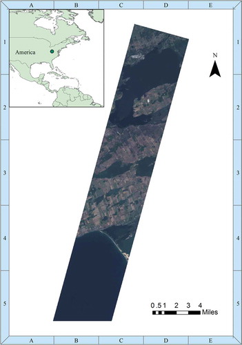 Figure 2. Hyperspectral image of New York