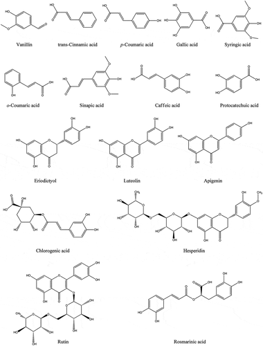 Figure 1. Phenolic compounds identified and quantified in infusion and ethanol extract of Mentha longifolia.
