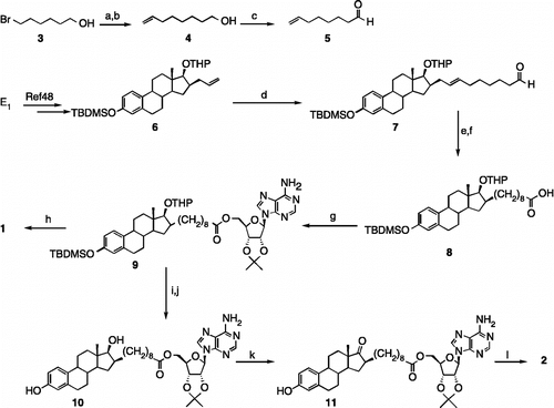 Scheme 1.  A new procedure for preparing EM-1745 (1) and synthesizing the C17-ketone analogue of EM-1745 (2). Reagents, conditions and yields: (a) NaI, acetone, reflux, 16 h; (b) i. CuI, vinylMgBr, THF, − 40°C, 15 min; ii. HMPA, P(OEt)3, THF, − 40°C to rt, 5 h (75% for two steps); (c) TPAP, NMO, molecular sieves, DCM, rt, 90 min (51%); (d) 5, 2nd generation Grubbs' catalyst, DCM, reflux, 16 h (50%); (e) 10% Pd/C, H2, EtOAc, rt, 16 h; (f) NaClO2, NaH2PO4, THF, 2-methyl-2-butene, t-BuOH, rt, 30 min (75% for two steps); (g) 2′,3′-isopropylidene adenosine, PyBOP, HOBt, DIPEA, DMF, rt, 16 h (51%); (h) HClg, DCM, rt, 3 h (27%); (i) PPTS, DCM, MeOH, reflux, 5 h; (j) TBAF, THF, 0°C, 10 min (72% for two steps); (k) Jones' reagent, acetone, 0°C, 8 min (52%); (l) TFA/H2O, 9:1, THF, rt, 30 min (56%).