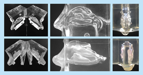 Figure 1. Casts. (Top) Koken cast. (Bottom) Optinose cast. Far left panels show the casts opened. The Koken cast is split in two silicone parts and a central, thin, flat, transparent, plastic septum separating the nasal cavities. The Optinose cast is split in four parts: two lateral parts and two central parts constituting the boarded septum with the true geometry of the medial sides of the nasal septum. Middle panels show lateral view of the two silicone casts. Far right panels show superior view of the two casts.