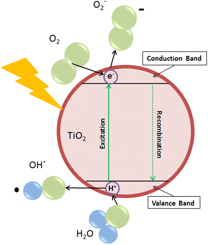 Figure 4. Schematic showing the photocatalytic process of TiO2 nanoparticles.