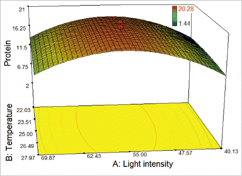 Figure 2. 3D response surface plot of central composite design showing the mutual effects of light intensity and temperature on protein amount (μg/100 μL) of T. striata.