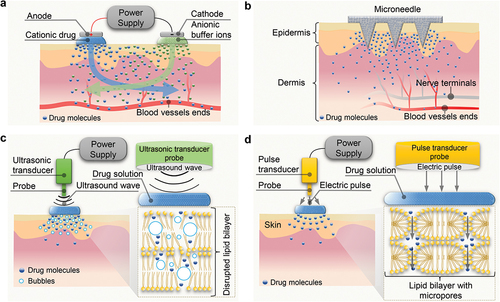 Figure 3. Schematic illustrations of the underlying mechanisms of typical enhancement strategies. a) Iontophoresis; b) microneedle; c) sonophoresis; d) electroporation.