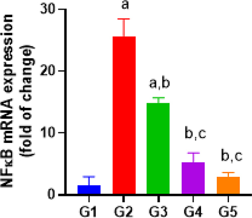 Figure 6 NF-κB mRNA expression between different groups. Group G1 – Control, G2 - Indomethacin 30 mg/kg, G3- Indomethacin+ 2,3-Dimethylquinoxaline (30 mg/kg body weight), G4 - Indomethacin+ 2,3-Dimethylquinoxaline (60 mg/kg body weight), G5 - Indomethacin+ esomeprazole 30 mg/kg.