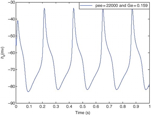 Figure 7. Typical epileptic state, with pee=22, 000 (s−1) and Ge=0.159 (mV).