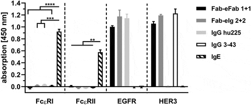 Figure 6. Binding of hetEHD2 to Fcε receptors. Binding of different eIg molecules for dual targeting approach (EGFR and HER3 specific) were used in ELISA experiments. Here, we used immobilized Fcε receptor I fused to mouse Fc and Fcε receptor II fused to His-tag as immobilized antigens and tested binding to these receptors. As control, we also included IgE molecule that binds to both receptors and the parental antibodies IgG hu225 and IgG 3–43. Additionally, bioactivity of the eIg molecules was confirmed by using EGFR and HER3 as Fc fusion proteins. Mean ± SD, n = 3.