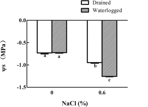 Figure 8. Effects of salinity, waterlogging, and NaCl plus waterlogging co-stress on osmotic potential (Ψs). Expanded leaves of E. angustifolia seedlings treated for two weeks were used. Values are means ± SD (n = 5). Mean values with different lowercase letters are significantly different at P ≤ 0.05 according to Duncan′s multiple range test.