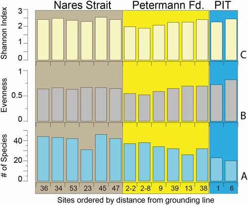 Figure 8. Histograms showing measures of diversity from the fourteen sites arranged by distance from the Petermann Glacier grounding line. (a) Species richness or number of species, S; (b) Evenness, E; and (c) Shannon Index, H. PIT = Petermann Ice Tongue. Site locations shown in Figure 1b. Color blocks as defined in Figure 5