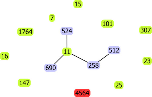 Figure 2 goeBurst-based population structure of ST4564 CRKP and high-risk STs. Blue circle indicated isolate STs; purple circle indicated one or two different loci with ST11, red circle indicated novel ST. Black lines indicated the relationship presence between them.