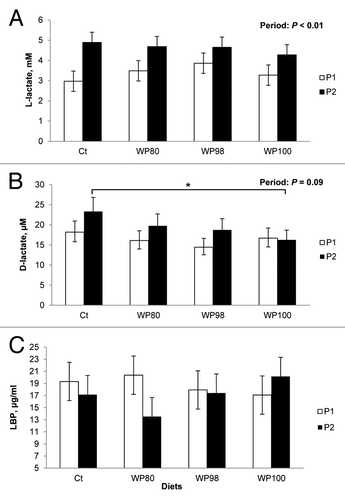 Figure 2. Effects of feeding diets containing no test product (Ct), or 80% milk whey protein (WP) + 20% colostral whey protein (CWP; WP80), 98% WP + 2% CWP (WP98), 100% WP (WP100) test products on plasma (A) L-lactate, (B) D-lactate, and (C) lipopolysaccharide binding protein (LBP) concentrations of pigs during period 1 (P1; thermoneutral conditions: 19 °C; ~46% humidity) and at the end of period 2 (P2; heat stress conditions for 24 h: 32 °C; ~26% humidity). *Represents differences between treatments during period 2 with period 1 as a covariate.