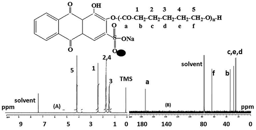Figure 3 A 1H-NMR and B 13C-NMR spectrum of PCL/Fe3O4–AR nanocomposite synthesized at [M/I] = 100