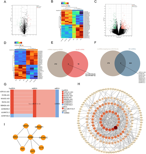 Figure 11 The ceRNA network of ADRB2: (A and B) Volcano plot and heatmap of DE miRNAs in ISL samples of AS-KD patients. (C and D) Volcano plot and heatmap of DE lncRNAs in ISL samples of AS-KD patients. (E) Venn diagram of upregulated DE miRNAs with miRNAs targeting ADRB2. (F) Venn diagram of DE lncRNA with lncRNAs targeting hsa-miR-513a-5p. (G) The ceRNA interaction network of ADRB2 (red: upregulated in AS-KD; blue: downregulated in AS-KD). (H) PPI network of ADRB2 in ISL. (I) PPI network of DE mRNAs in ISL.