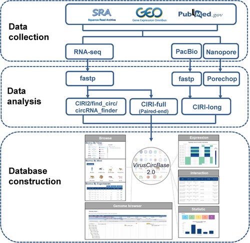 Figure 1. The workflow of the study. It contains three sections including Data collection, Data analysis and Database construction. Please see the maintext for the details about these sections.