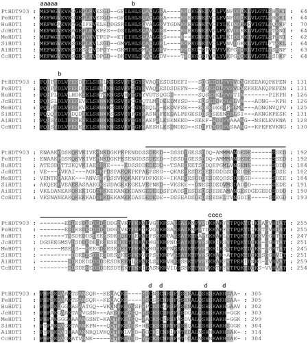 Figure 2. Amino acid sequence alignment of HD2-type histone deacetylases. Note: Amino acid sequences of PtHDT903 and its homologous proteins were aligned. Letters indicate: (a) invariable pentapeptide motif (MEFWG); (b) critical amino acid residues for histone deacetylase catalytic activity; (c) nuclear localization signal (KKAK); (d) conserved C2H2-type zinc finger domain. The extended acidic domain is underlined.