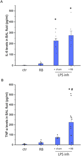 Figure 4 Protein levels of inflammatory cytokines in BAL fluid following resistive breathing and inhalational LPS administration. Inhalation of LPS caused a significant increase in ΙL-6 level in the BAL fluid that was not further increased by resistive breathing (A). On the other hand, combining RB with inhaled LPS resulted in a significant synergy in TNFα protein levels in BAL fluid, compared to LPS alone (B). Data presented as mean ± sem with overlapped data points, n=5–12 per group, *p<0.05 to ctr, #p<0.05 to LPS inh.