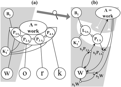 Figure 5. Word node “work” (=Λ), and its LSN with local position nodes P1Λ to P4Λ, (b) sub network underlying the bi-directional connection of a local position node and its letter node.