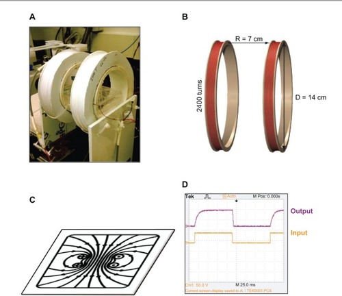 Figure 1 (A) The PEMF device was designed as a Helmholtz coil to hold a 6-well cell plate. (B) Two coils spaced half the distance of the diameter of the coils emitted a (C) uniform magnetic field. (D) The 5 Hz pulsed waveform.Abbreviation: D, diamater; PEMF, pulsed electromagnetic field; R, radius.