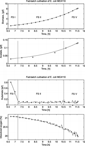 Figure 3. Comparison between a simulated and a real fed-batch E. coli cultivation process.