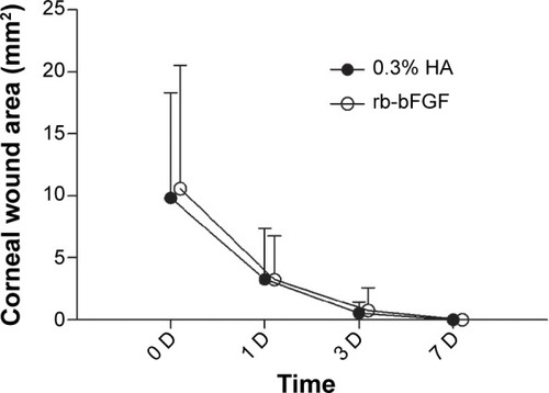 Figure 2 Change of corneal wound areas in the treatment and control groups.