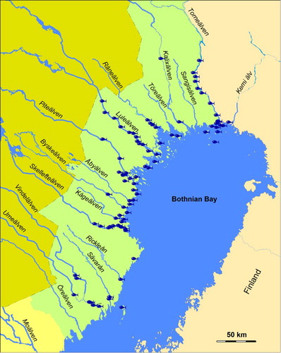 Figure 5. Salmon fishing locations listed in fiscal records 1553 and 1559. The coastline is set to 10 m above the present sea level corresponding to c. AD 1000.