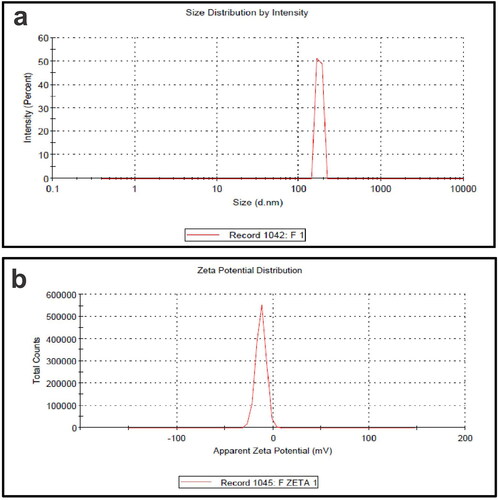 Figure 1. (a) Particle size and (b) zeta potential analysis of GPLC formulations.