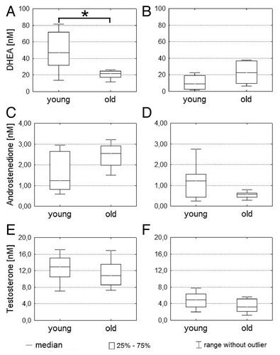 Figure 1. Determination of steroid hormone concentrations in blood and suction blister fluids. (A–F) Concentrations of DHEA, androstenedione and testosterone in blood and suction blister fluids of young (n = 8) and old male (n = 8) subjects were determined by UPLC-MS/MS after solid phase extraction. Blood concentrations of DHEA, androstenedione and testosterone are shown on the left side (A, C and E) and corresponding SBF concentrations on the right side (B, D and F). Statistical significance differences were marked with an asterisk (p < 0.05).