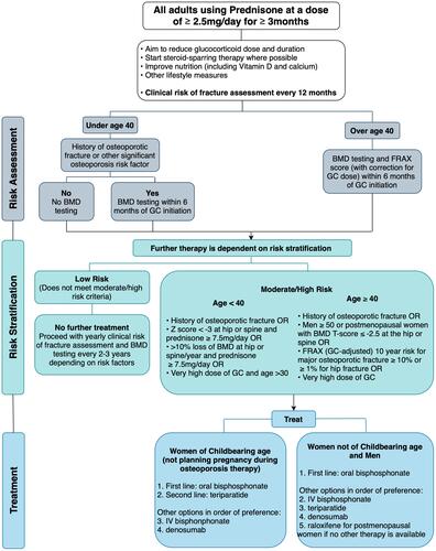 Figure 3 Management pathway for adults prescribed chronic glucocorticoids based on the 2017 American College of Rheumatology Guidelines.Citation24 Recommended daily dose of vitamin D and calcium are 600–800 IU/day and 1000–2000mg/day respectively. Lifestyle measures include smoking cessation, limiting alcohol intake to 1–2 drinks per day, weight-bearing and resistance exercises, and maintaining weight in a healthy range. Very high dose of glucocorticoid is defined as ≥30mg/day and a cumulative dose of >5g in the last year. The risk of major osteoporotic fracture calculated by the FRAX tool should be increased by 1.15 and the risk of hip fracture by 1.2 if the dose of prednisone is ≥7.5mg/day.