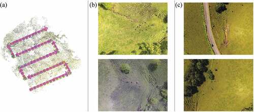 Figure 1. Examples of flight route and images in our two datasets. (a) shows one example of flight route. (b) shows examples of dataset 1. (c) shows examples of dataset 2.