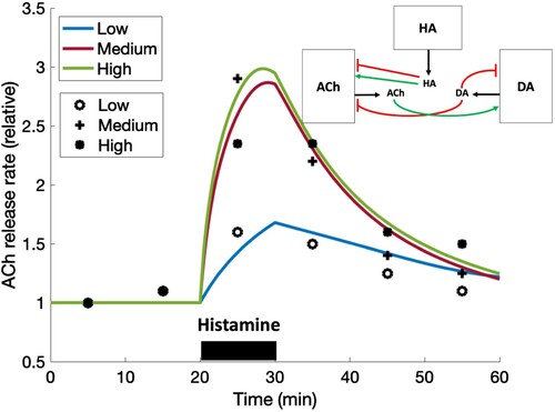 Figure 6. HA effect on ACh. ACh release rates are computed with a high (green), medium (red) and low (blue) level of histamine given from 20 to 30 min. The diagram in the upper right shows what receptors were included in the programme. The markers represent data redrawn from Figure 1 in [Citation32]. Error bars are omitted but range from 0 to 0.4 units, and our model curves fall within them.