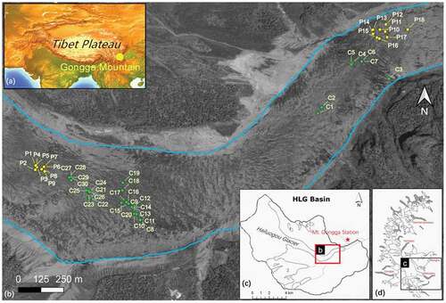 Figure 1. (a) Map showing location of Mount Gongga in Tibet, (b) Chinese Gaofen-2 aerial photograph (acquired on 14 May 2015) of Hailuogou Glacier depicting the location of the supraglacial pools sampled (green dots, pools sampled in 2018; yellow dots, pools sampled in 2019), (c) map of Hailuogou Glacier basin and the location of the Mt. Gongga station, (d) and glacier distribution in the Mt. Gongga range, with debris cover shown in gray